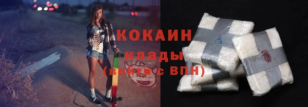 мдпв Инсар