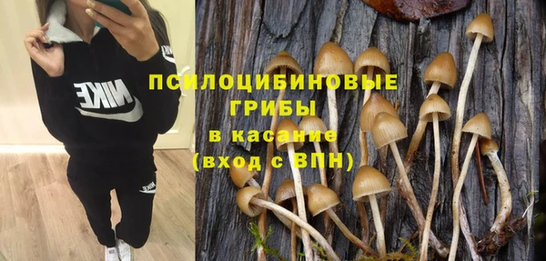 дживик Алзамай