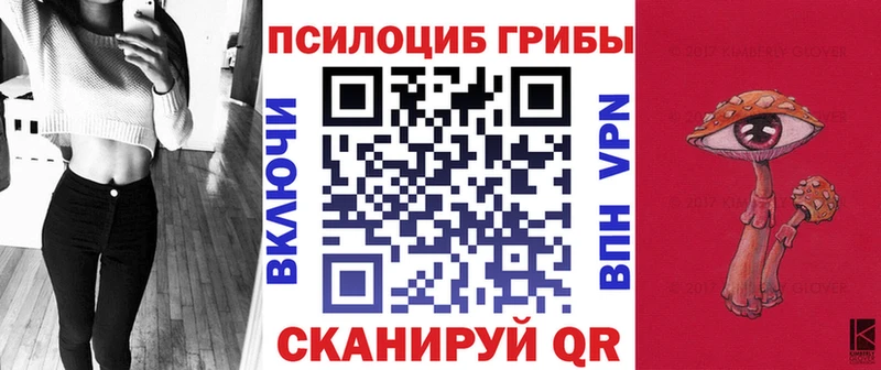 дарк нет как зайти  Алупка  Галлюциногенные грибы GOLDEN TEACHER 